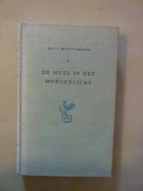 J. Brandt Corstius - De muze in het morgenlicht, Boeken, Ophalen of Verzenden, Gelezen