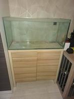 Gratis ophalen, Dieren en Toebehoren, Vissen | Aquaria en Toebehoren, Ophalen