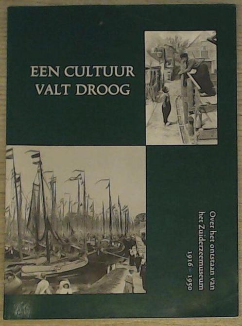 Frouke Wieringa - Een cultuur valt droog - 1916-1950, Boeken, Geschiedenis | Stad en Regio, Zo goed als nieuw, 20e eeuw of later