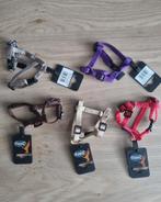 Partij Nobby Tuigje-Halsband Hond 14-20CM (Ruim 50 stuks), Ophalen of Verzenden, Nieuw, Hondenriem