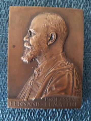plaquette brons van een arts beschikbaar voor biedingen