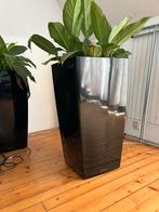 2 x Zwarte Lechuza plantenbak, Kunststof, Vierkant, Binnen, Zo goed als nieuw