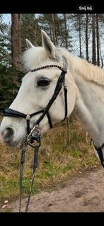 Bridle2fit hoofdstel cob., Dieren en Toebehoren, Paarden en Pony's | Hoofdstellen en Tuigage, Verzenden, Zo goed als nieuw