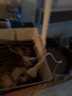 Kweekkastje met lampen - Even schoonmaken!, Ophalen of Verzenden, Gebruikt, Kweekkast