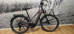 Nieuwe E-BIKE Pegasus, Bosch CX motor, 750 Whr accu., Nieuw, 50 km per accu of meer, 55 tot 59 cm, Ophalen