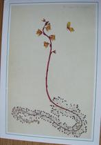 Flora Danica - ingekleurde gravure op kaart, Verzamelen, Ansichtkaarten | Themakaarten, Verzenden, 1980 tot heden, Gelopen, Natuur