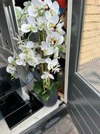 Hele mooie orchidee in pot, Huis en Inrichting, Woonaccessoires | Kunstplanten en Kunstbloemen, Ophalen of Verzenden, Zo goed als nieuw