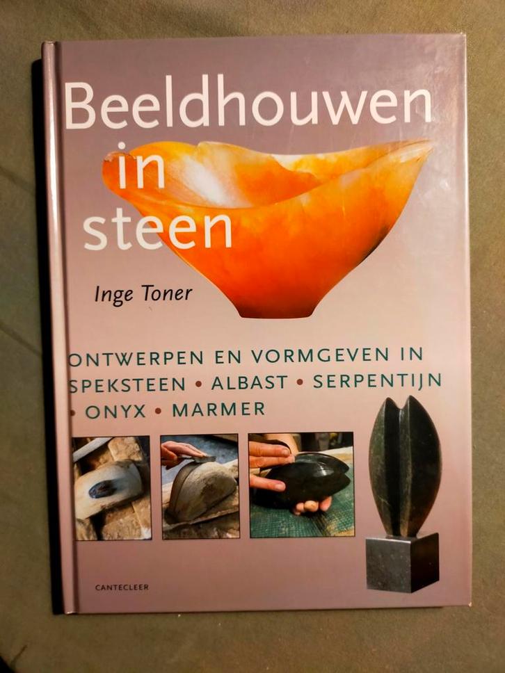 Beeldhouwen in Steen - Inge Toner (hardcover, 2002), Boeken, Kunst en Cultuur | Beeldend, Zo goed als nieuw, Beeldhouwkunst, Ophalen of Verzenden