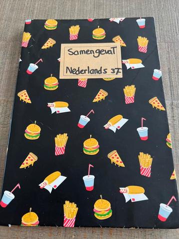 Samengevat Nederlands 3F MBO. 2e druk beschikbaar voor biedingen