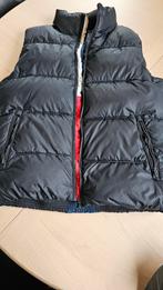 Tommy Hilfiger Bodywarmer Maat 164 - Nieuwstaat, Ophalen of Verzenden, Zo goed als nieuw
