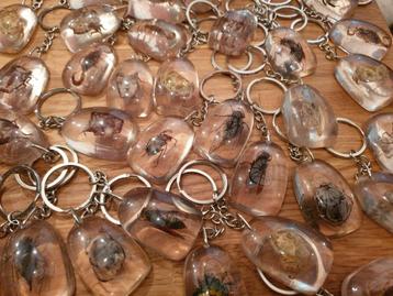 Sleutelhangers hars. Insecten, kever, schorpioen, krab,spin beschikbaar voor biedingen