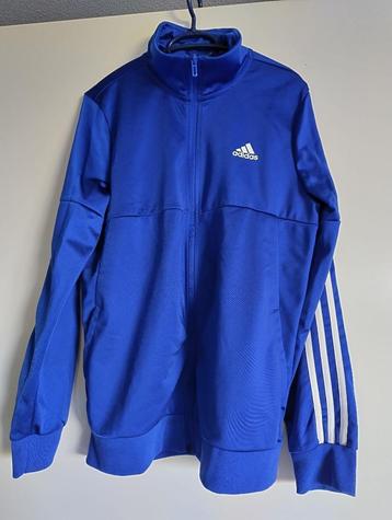 mooi Adidas vest/trainingsjack maat 176 zo goed als nieuw beschikbaar voor biedingen