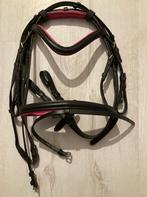 Hoofdstel met teugels maat Minishetland roze, Ophalen of Verzenden, Nieuw, Dressuur