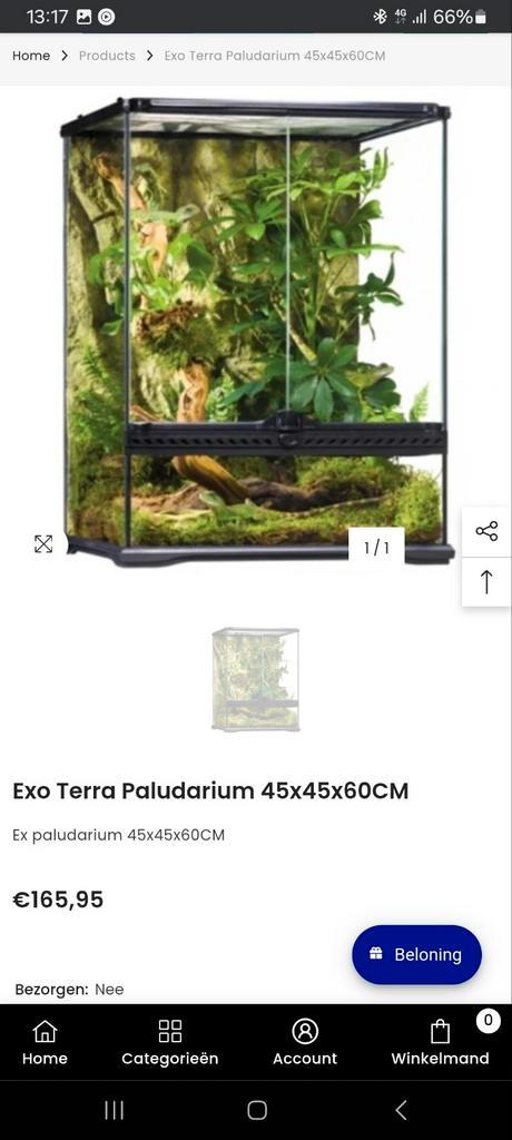 Exo terra terrariums, 2 stuks, 2 maten, Dieren en Toebehoren, Reptielen en Amfibieën | Toebehoren, Zo goed als nieuw, Ophalen