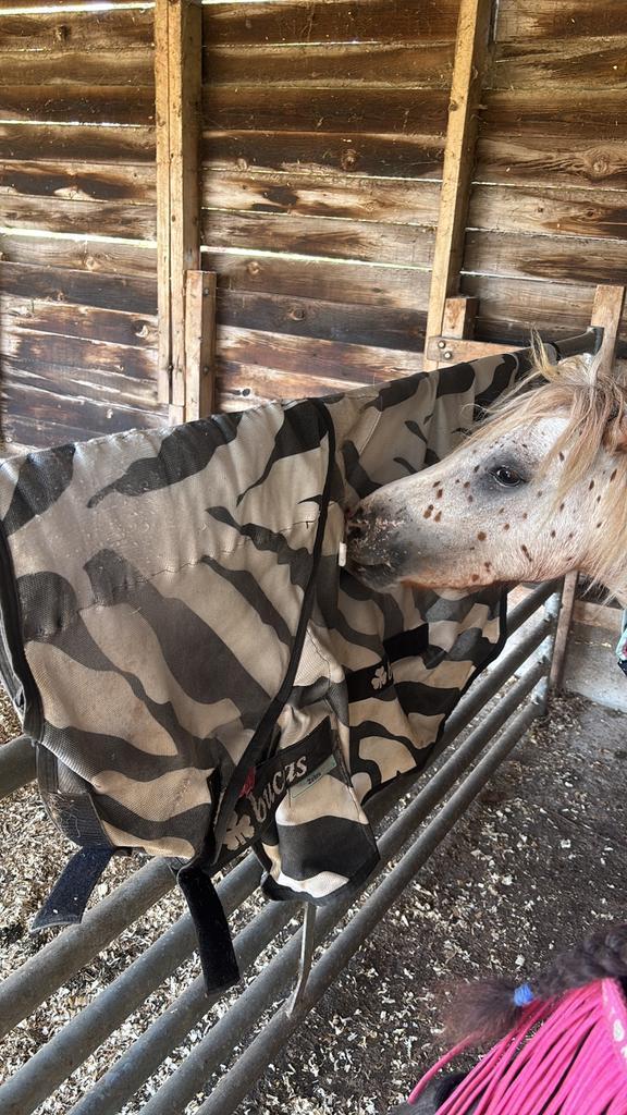 Bucas buzz off 115, Dieren en Toebehoren, Paarden en Pony's | Dekens en Dekjes, Gebruikt, Verzenden