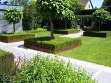 Een goeie tuinman nodig?  Hij vraagt € 25.- per uur   beschikbaar voor biedingen