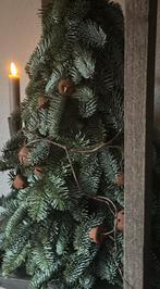 Tak met roest belletjes, Ophalen of Verzenden