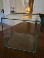 Terrarium 30x30x30, Ophalen of Verzenden, Zo goed als nieuw