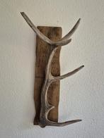 Mooi Edelhert Gewei op een oude houten plank Jacht Mancave, Ophalen, Hert, Gewei of Kop