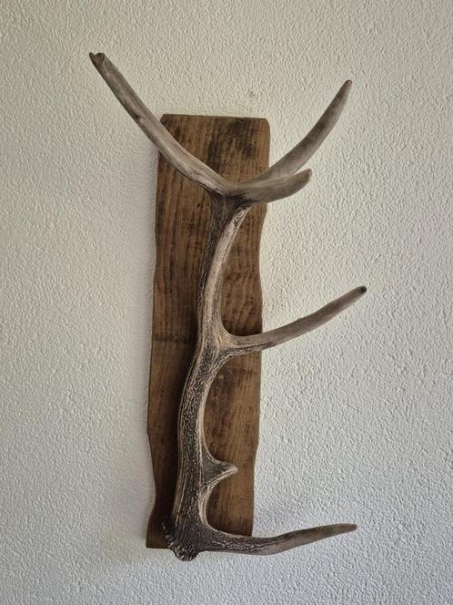 Mooi Edelhert Gewei op een oude houten plank Jacht Mancave, Verzamelen, Dierenverzamelingen, Gewei of Kop, Hert, Ophalen