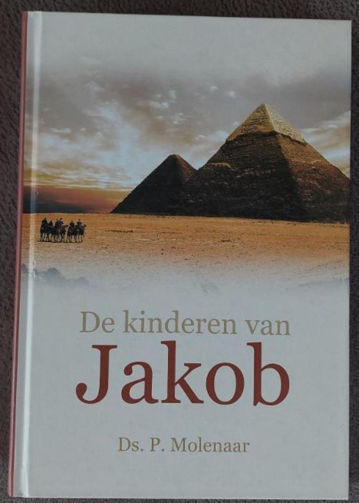 Ds. P. Molenaar: De kinderen van Jacob, Boeken, Godsdienst en Theologie, Zo goed als nieuw, Christendom | Protestants, Ophalen of Verzenden