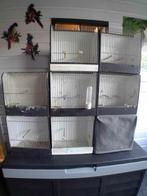 te koop 3 tentoonstellings kooien, Dieren en Toebehoren, Vogels | Hokken en Kooien, Ophalen, Zo goed als nieuw, Hout, Broedkooi of Kweekkooi