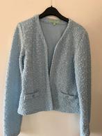 Lichtblauw jasje met pailletten maat L, Kleding | Dames, Ophalen of Verzenden, Zo goed als nieuw