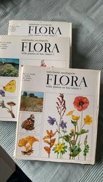 Nederlandse oecologische FLORA wilde planten en hun relaties, Boeken, Ophalen of Verzenden, Zo goed als nieuw, Bloemen, Planten en Bomen
