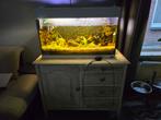 Aquarium Tekoop met alles erbij, Dieren en Toebehoren, Ophalen of Verzenden, Gebruikt, Overige typen