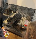 Hamsterkooi incl. Benodigdheden, Dieren en Toebehoren, Knaagdieren en Konijnen | Hokken en Kooien, Kooi, Gebruikt, Minder dan 75 cm
