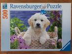 Ravensburger puzzel 500, Golden Retriever pup, COMPLEET! 🎁, Ophalen of Verzenden, 500 t/m 1500 stukjes, Zo goed als nieuw