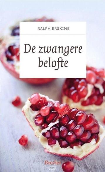 De zwangere belofte - Ralph Erskine beschikbaar voor biedingen