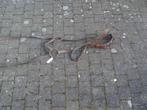 Duits paardenhalster WO2, Verzenden, Landmacht, Duitsland, Overige typen