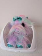 Pets Alive Puppy Rescue Yorkshire, Ophalen, Nieuw, Hond