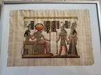 Egyptisch papyrus, Ophalen
