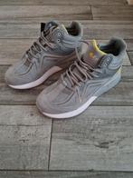 Fitville Hightop Rebound Core basketball / loopschoenen grij, Ophalen of Verzenden, Nieuw, Wandelschoenen of Bergschoenen