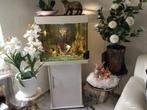 te koop aquarium kompleet met vissen ., Dieren en Toebehoren, Ophalen of Verzenden, Gebruikt, Gevuld zoetwateraquarium