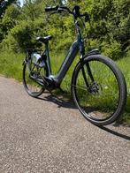 Gazelle grenoble/arroyo 2022 bosch active plus line, Ophalen of Verzenden, Zo goed als nieuw, 50 km per accu of meer, 55 tot 59 cm