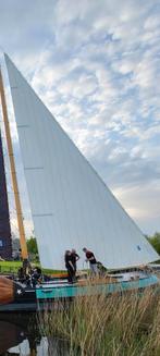 Skutsje fok 54m2 (2018), Watersport en Boten, Ophalen of Verzenden, Gebruikt, 30 tot 60 m²