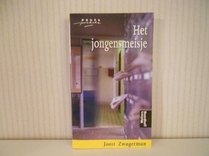 Het jongensmeisje - Joost Zwagerman, Boeken, Kinderboeken | Jeugd | 13 jaar en ouder, Zo goed als nieuw, Ophalen of Verzenden