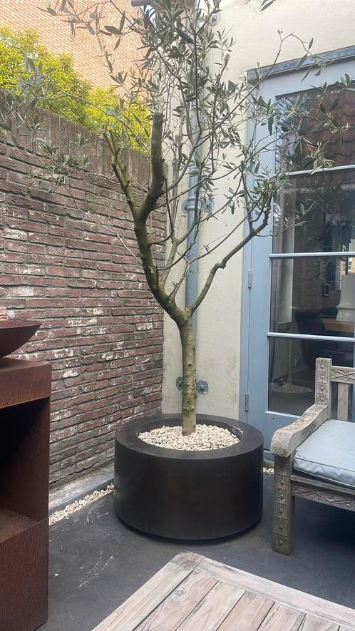 Plantenpot design / staal / rond / Cuprum Lviv / plantenbak, Tuin en Terras, Bloembakken en Plantenbakken, Steen, 60 tot 100 cm