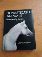 Domesticated Animals - Juliet Clutton-Brock, Ophalen of Verzenden, Gelezen, Paarden of Pony's, Juliet Clutton-Brock