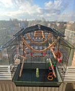 TE KOOP: Vogelkooi + reis kooitje (met veel spullen + voer), Dieren en Toebehoren, Vogels | Hokken en Kooien, Ophalen, Metaal