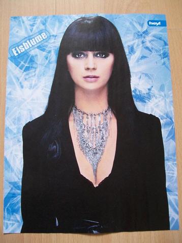 Poster van Eisblume uit Duits tijdschrift Hey!        