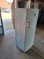 Zanussi vrieskast, Vrieskast, Zanussi, Zanussi, Minder dan 60 cm