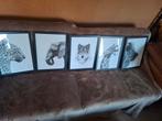 5 dieren posters, zwart wit, Huis en Inrichting, Woonaccessoires | Schilderijen, Tekeningen en Foto's, Ophalen, Minder dan 50 cm