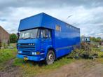 Daf 1900 turbo 6 paarden trailer (Tiny House), Auto's, Te koop, Particulier