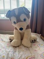 Schattige Husky Knuffel, Ophalen, Gebruikt, Hond