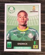 Panini Copa Libertadores 2023 Nr. 202 Endrick, Rookie, Verzenden, Zo goed als nieuw, Plaatje