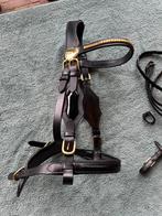 Leren rij hoofdstellen shire koudbloed, Ophalen of Verzenden, Nieuw, Dressuur